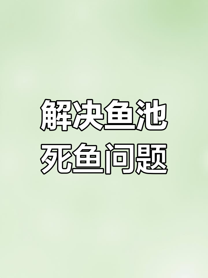 鱼池死鱼问题解决:气石更换与过滤装置安装