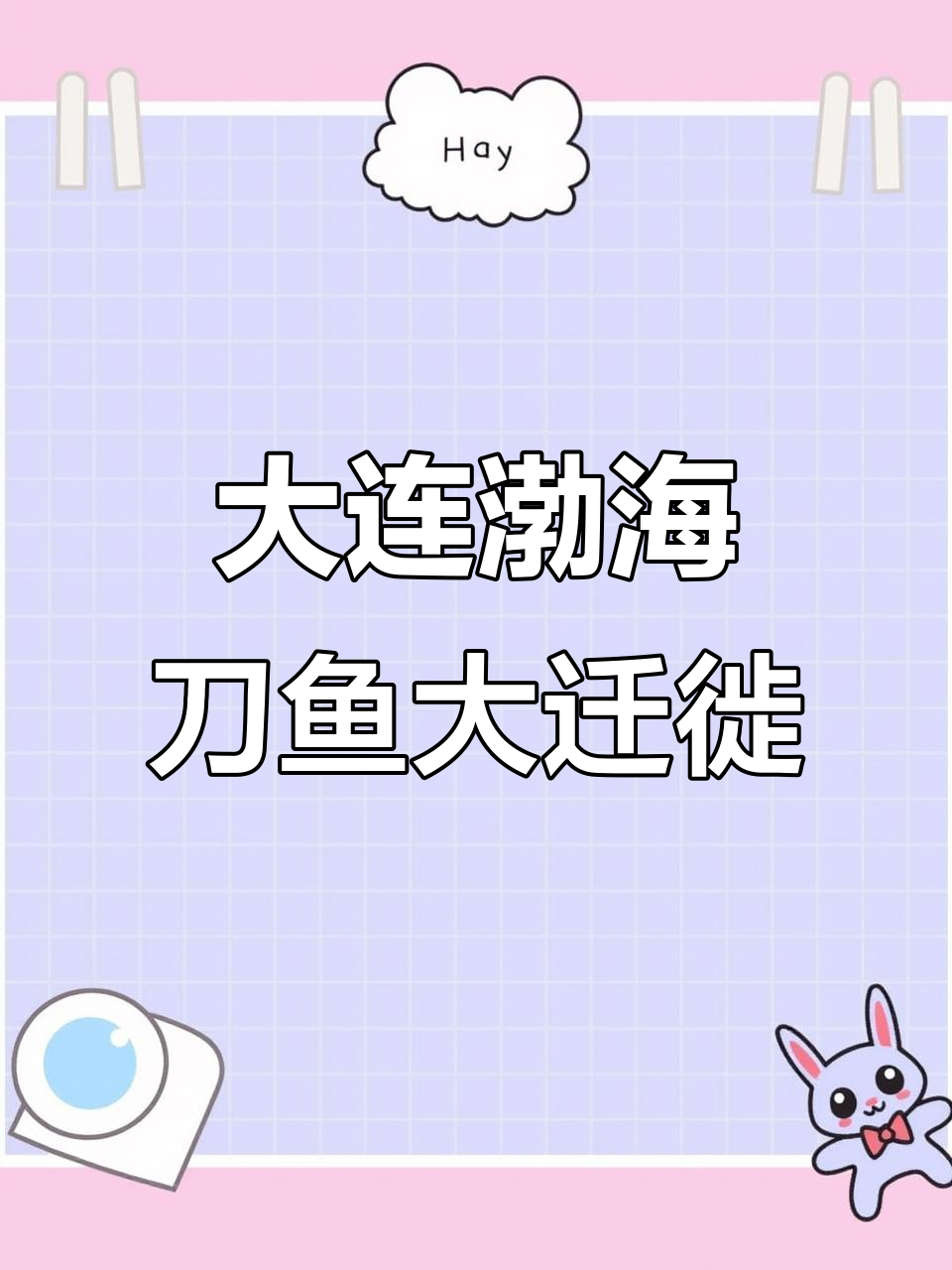 渤海刀鱼群现身大连,五月二十八日壮观景象