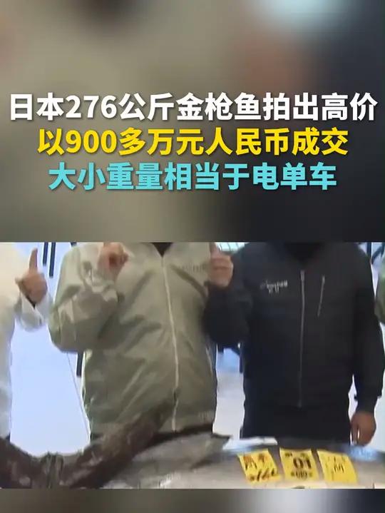 日本276公斤金枪鱼拍出高价 以900多万元人民币成交 大小重量相当于电单车