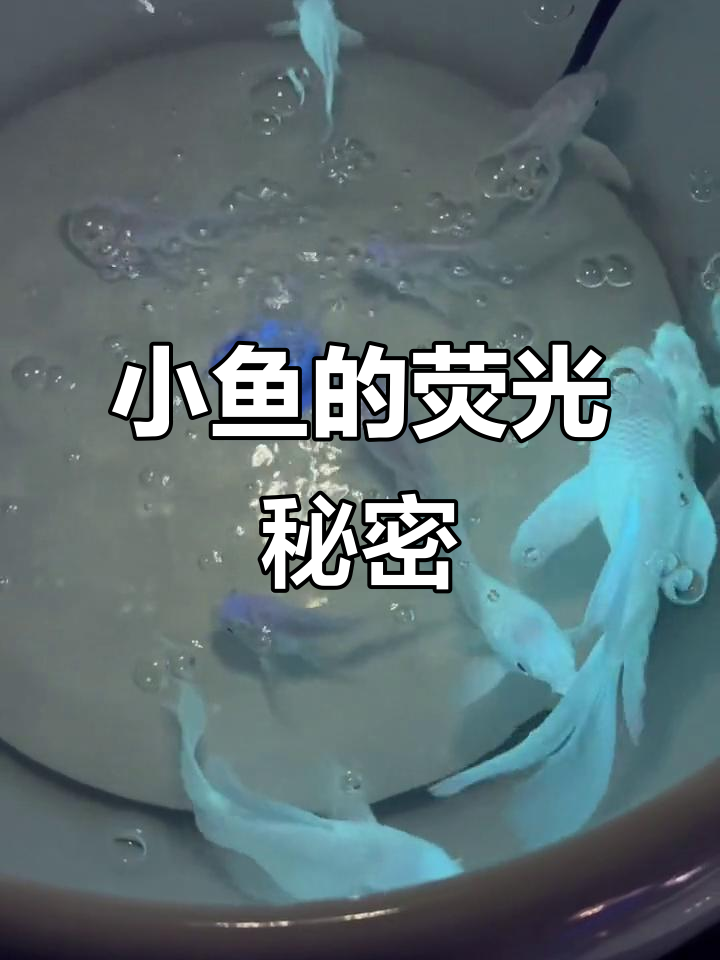 鱼也能发光,竟是这种原理!