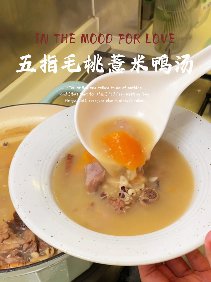 五指毛桃薏米煲鸭汤春天适合健脾祛湿