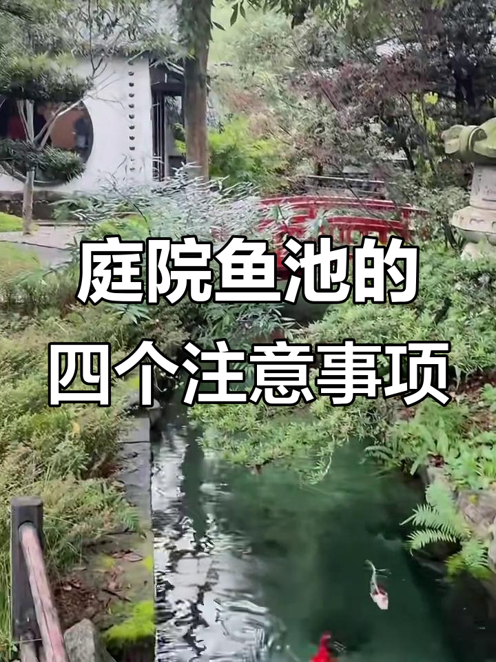 庭院鱼池设计四大禁忌,避开这些让你的家园更和谐