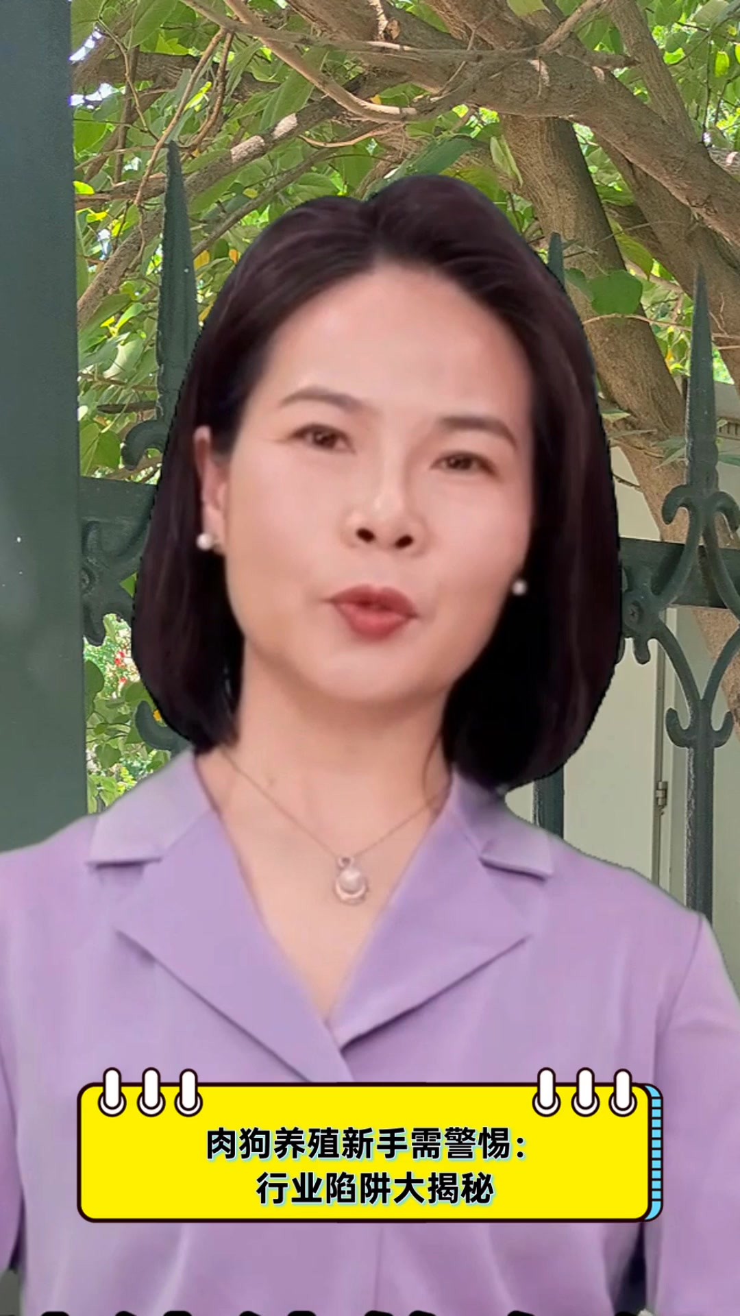 肉狗养殖新手需警惕:行业陷阱大揭秘