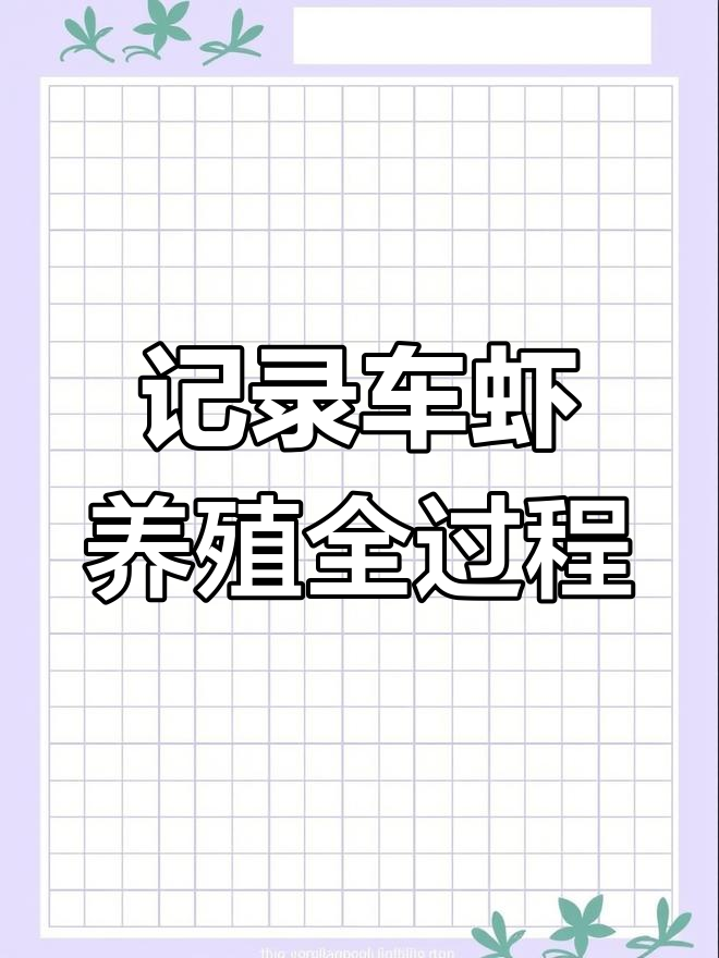 车虾工厂化养殖全纪录,探秘基围虾、花虾和日本对虾的养殖过程