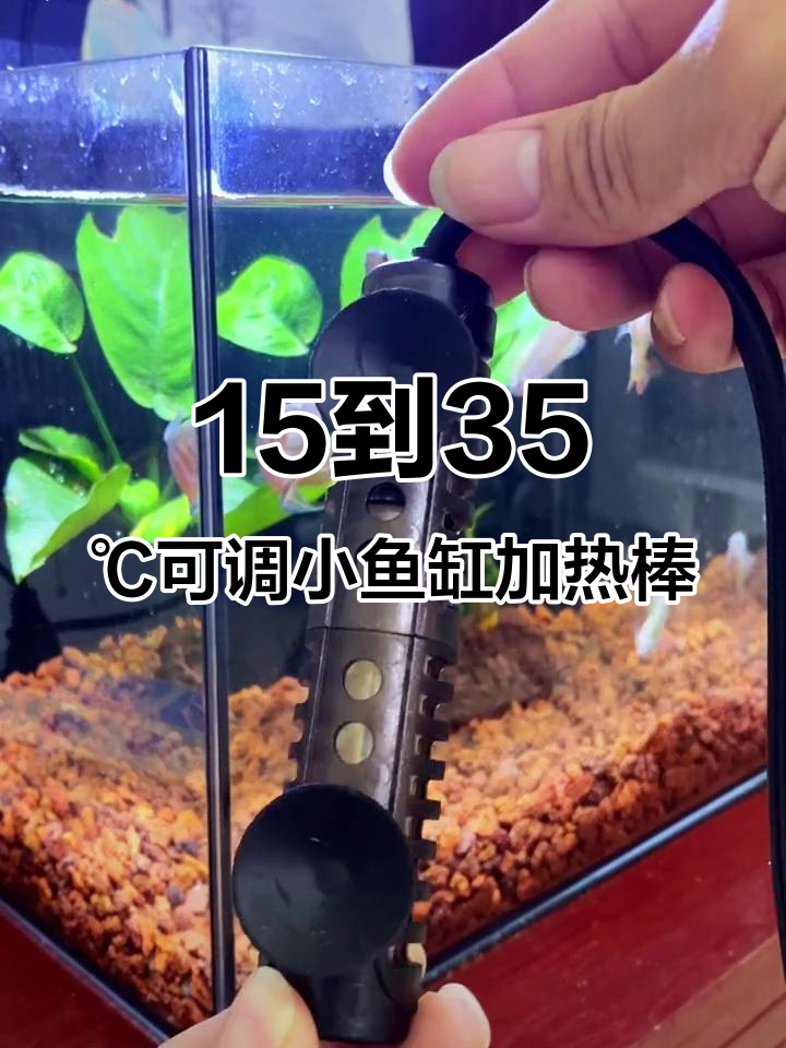 小型鱼缸加热棒,温度调节轻松自如