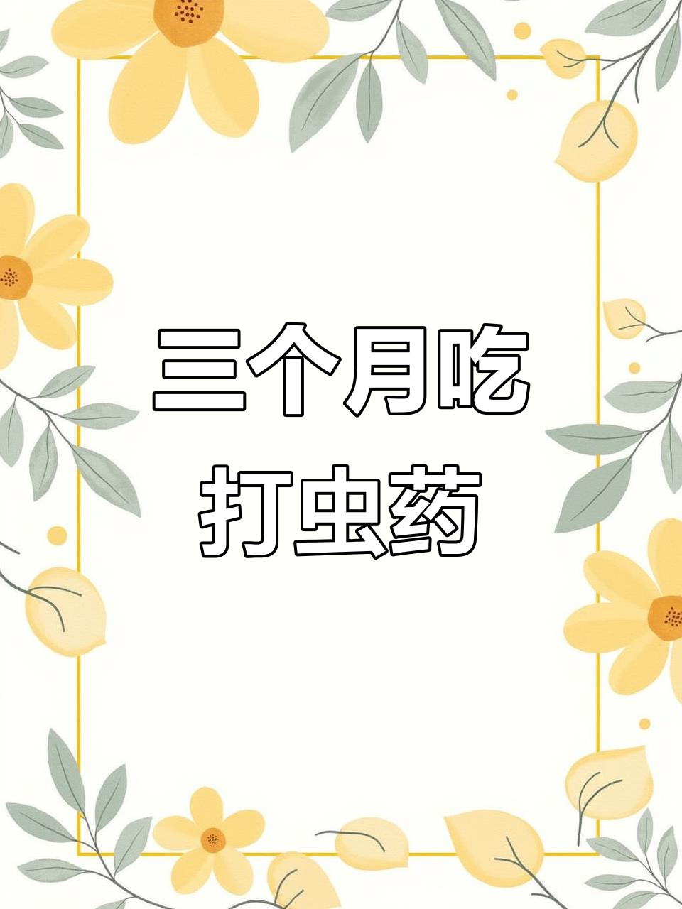韩国打虫药大揭秘,三个月效果惊人!