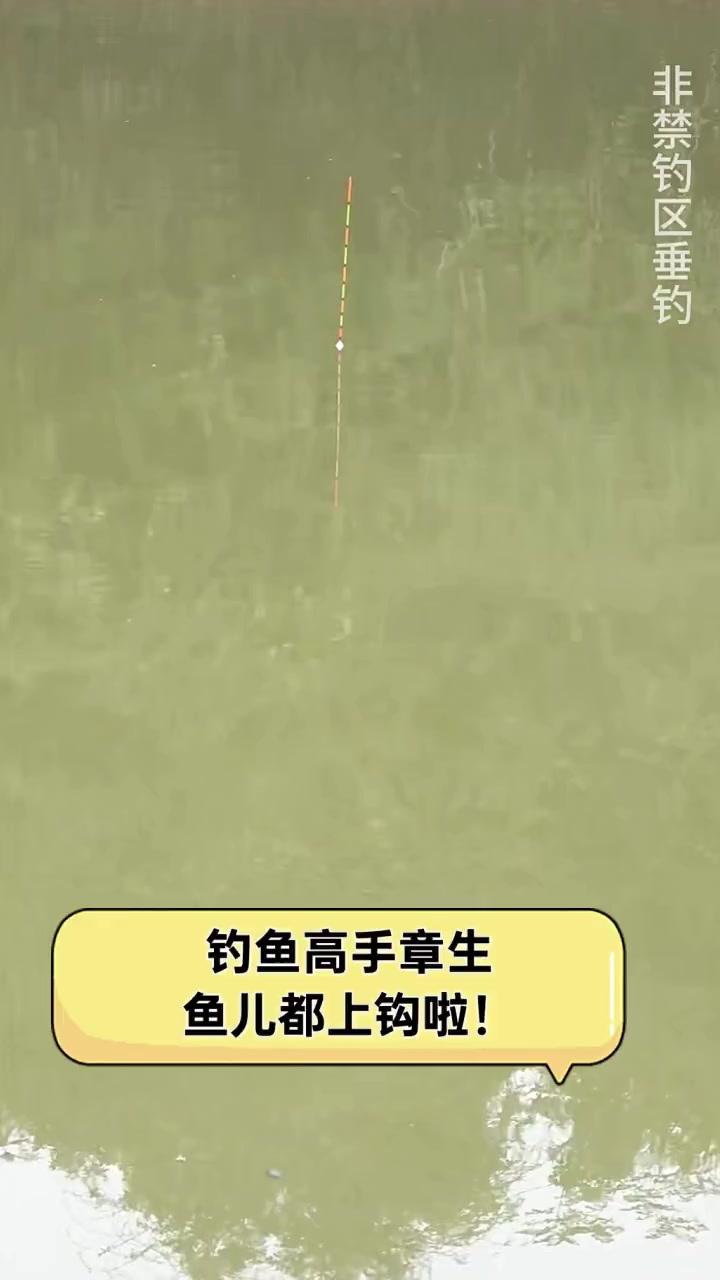 钓鱼高手章生,鱼儿都上钩啦!