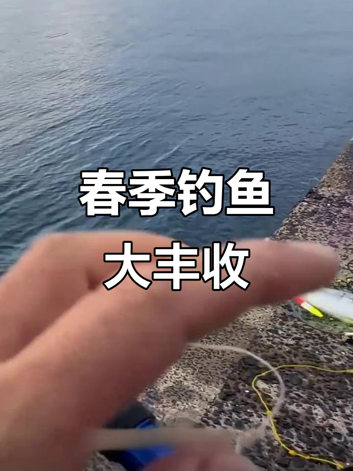 春天钓青干鱼,巨物拉出海面!