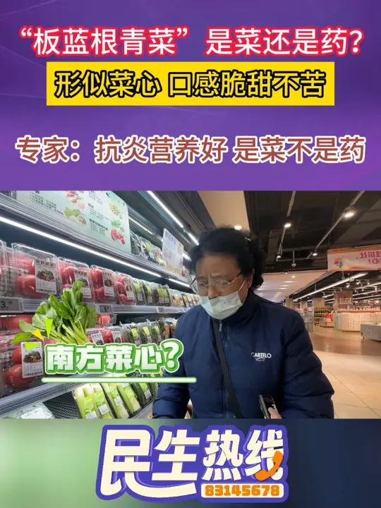 “板蓝根青菜”是菜还是药?形似菜心 口感脆甜,专家:抗炎营养好 是菜不是药!