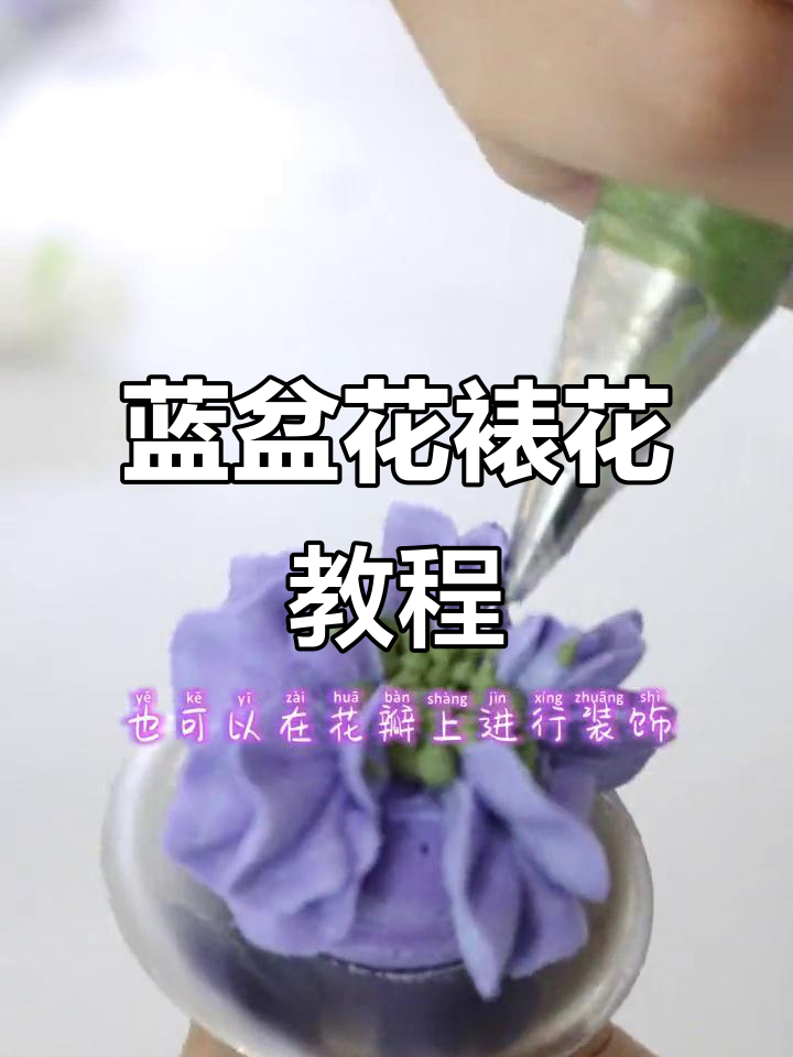 韩式裱花篮盆花,轻松做出可爱花朵装饰