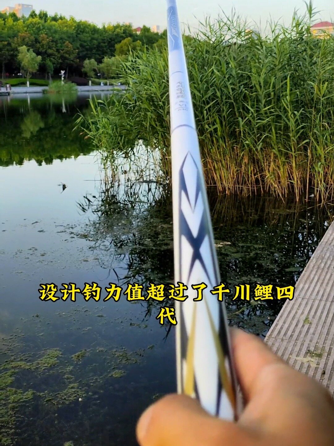 千川鲤鱼竿,手感轻,不重头大物竿
