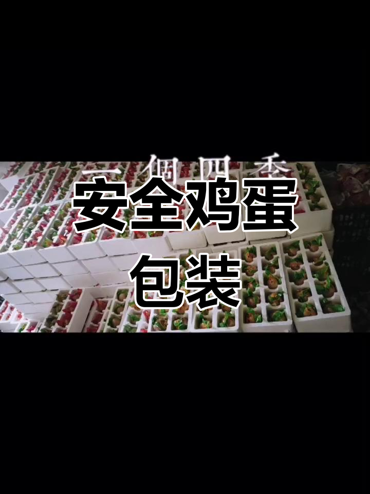 定制鸡蛋包装盒,安全快递新选择