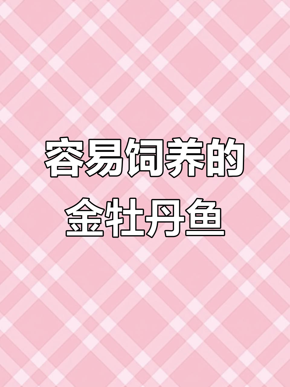 金牡丹鱼:适应性强,水温适宜的淡水观赏鱼