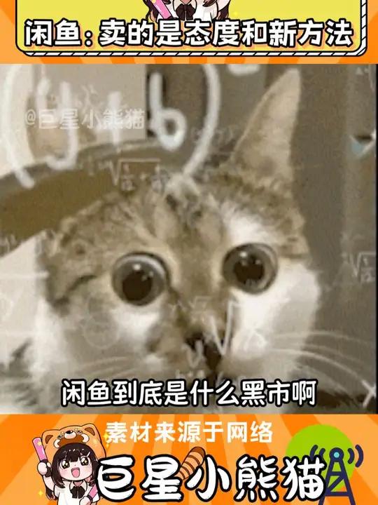 闲鱼是什么黑市