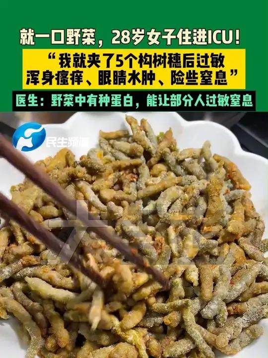 4月3日,河南郑州(发布)就一口野菜,28岁女子住进ICU!“我就夹了5个构树穗后过敏,浑
