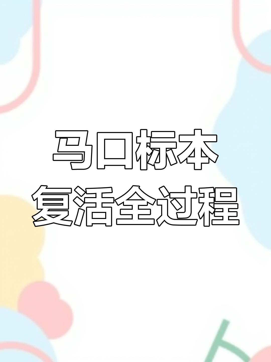死马口鱼如何重生?一步步制作过程揭秘