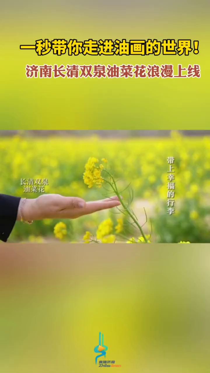 一秒带你走进油画的世界!济南长清双泉油菜花浪漫上线