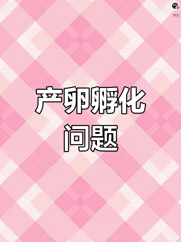 迷你鹦鹉鱼产卵后能否单独孵化?
