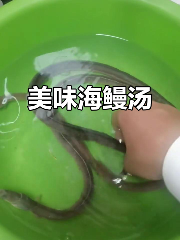 海鳗汤做法大揭秘,冷鳗鱼炖蘑菇鲜美又营养