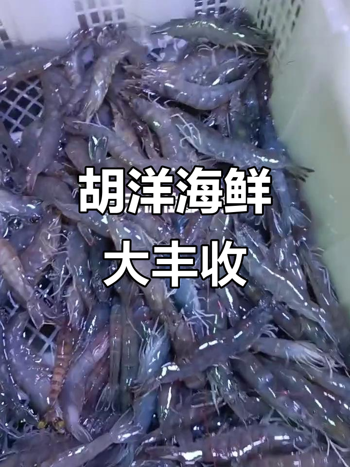 天津胡洋海鲜:新鲜基尾虾、高蟹与小龙虾一网打尽