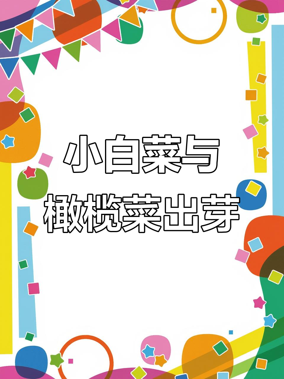 小白菜和橄榄菜出苗,雨后地湿影响生长