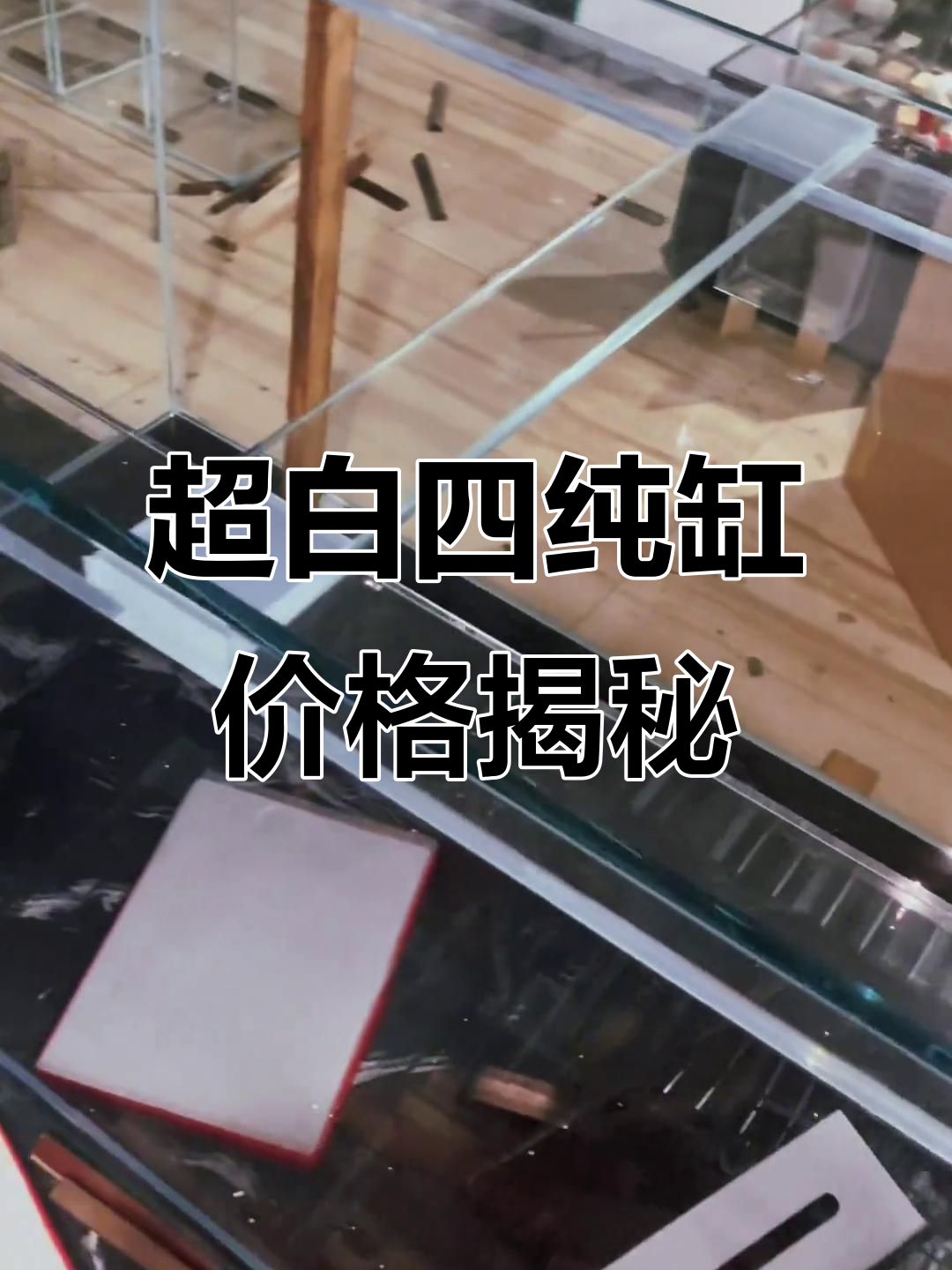 定制超白鱼缸,你猜值多少钱?
