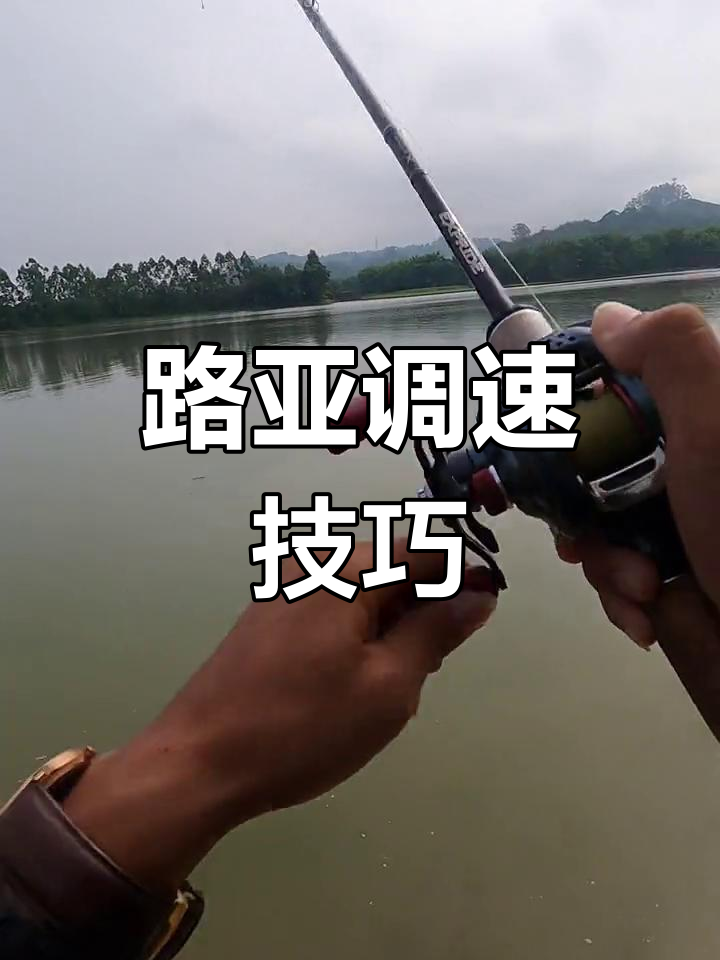 钓鱼人必备技巧:如何调整路亚红眼鳟鱼的收线速度