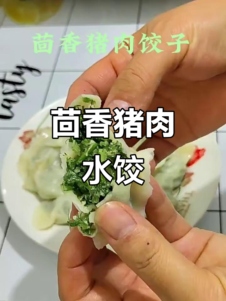 茴香猪肉饺子，香气扑鼻让人无法抗拒