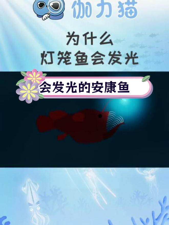 深海中的神秘灯笼鱼