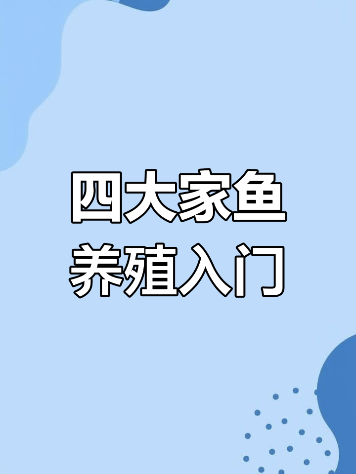 四大家鱼养殖全攻略:黑鱼、鮰鱼、鳜鱼和黄颡鱼的养殖技巧