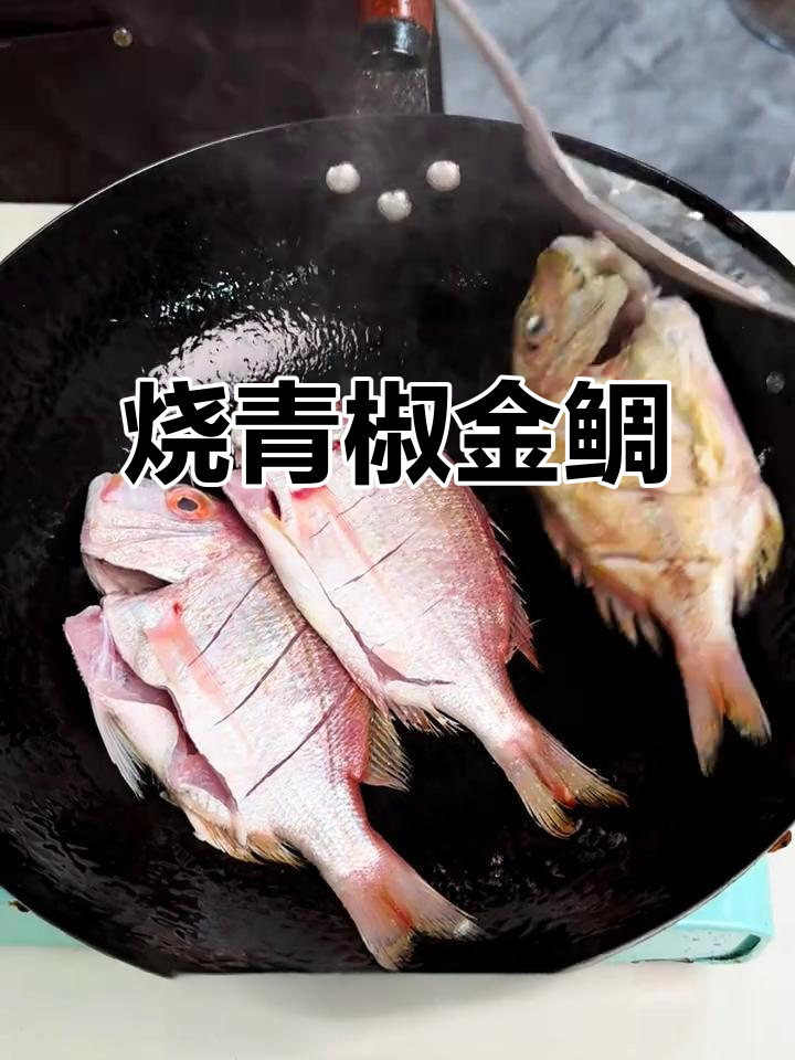 家常烧青椒金鲷鱼,鲜香十足!