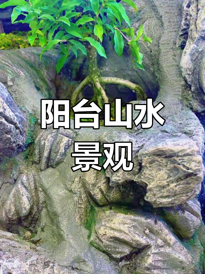 在阳台打造鱼池,假山与山路同步施工