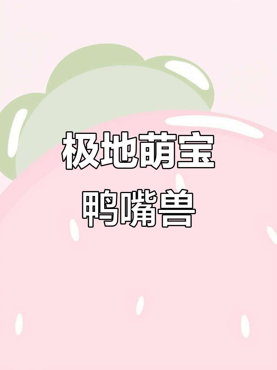 鸭嘴兽:澳大利亚的萌宠奇迹,进化不努力?