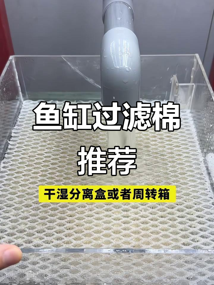 鱼缸过滤棉选择指南，搭配技巧全解析