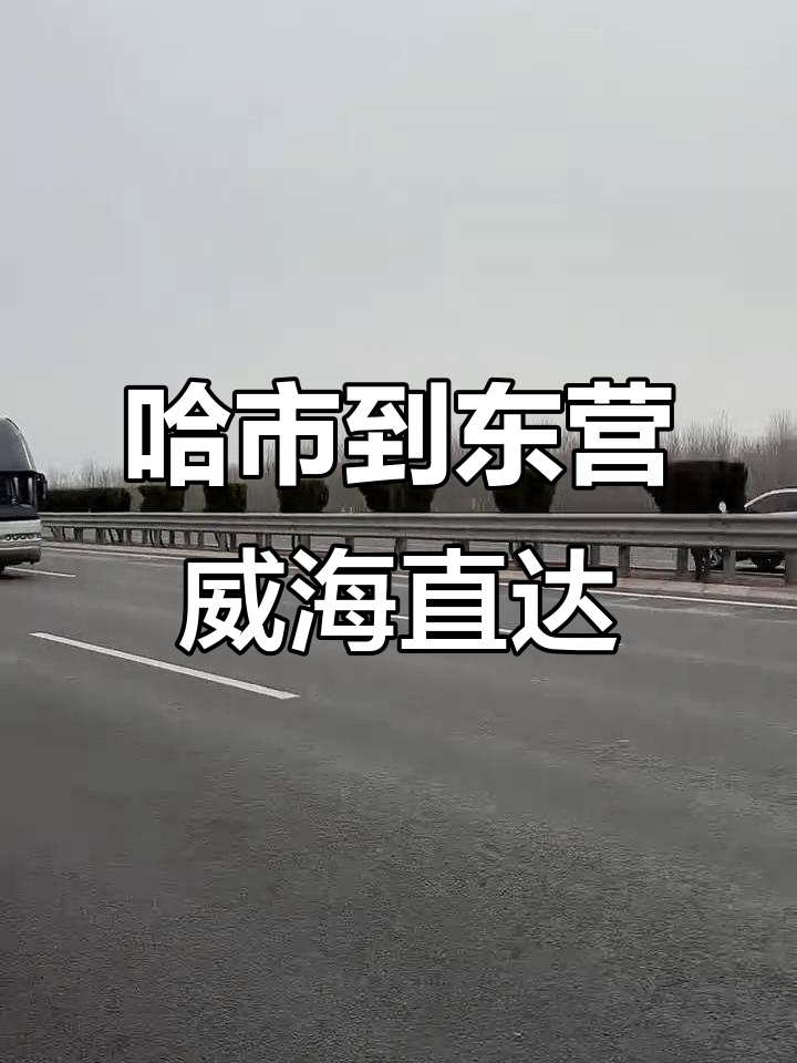 哈尔滨直达东营威海,青年鲇鱼头客车全程陪伴