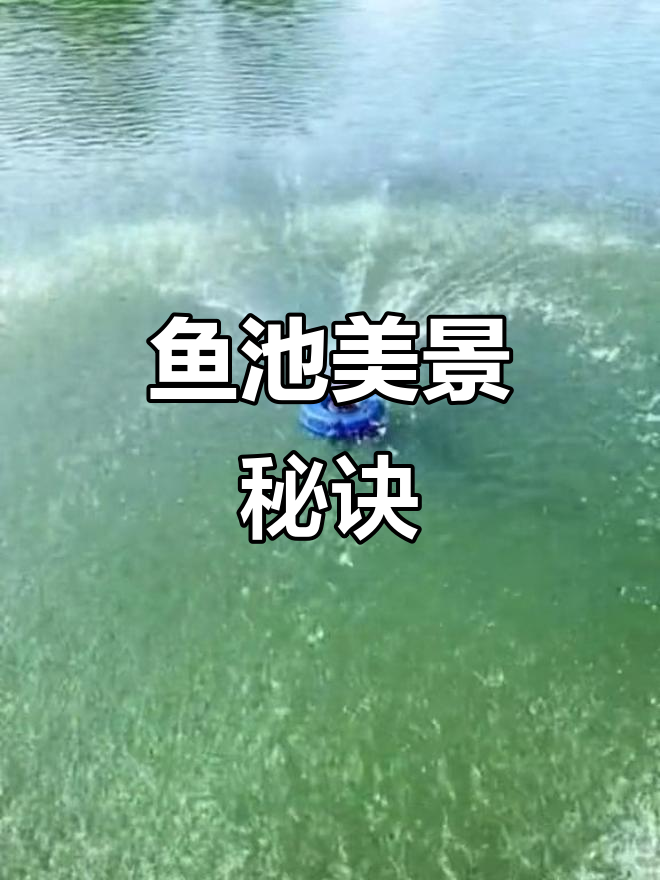 鱼塘增氧喷泉,让鱼儿欢快游动,景色更美