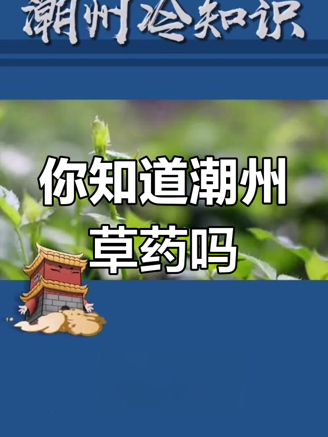 潮汕青草药大揭秘,你了解多少?