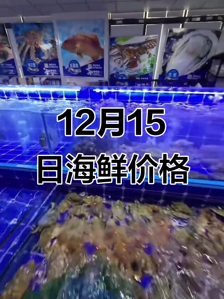 12月15日海鲜市场报价,帝王蟹、龙虾等超值优惠