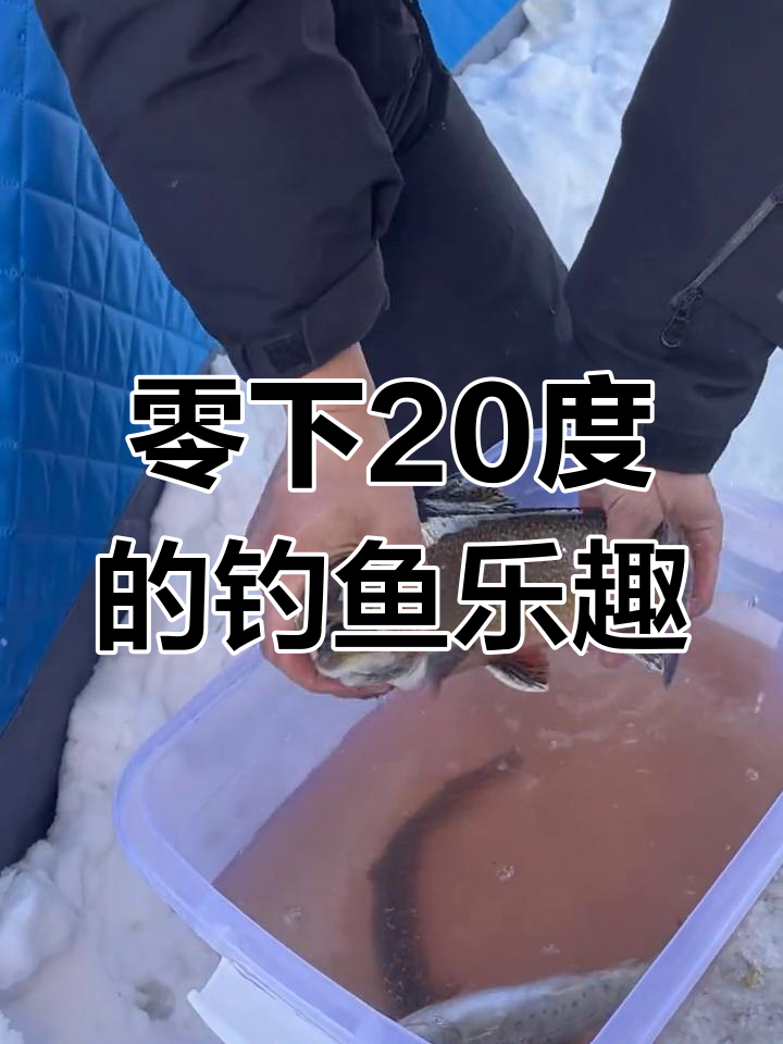 哈尔滨冬季冰钓体验,帐篷内舒适垂钓