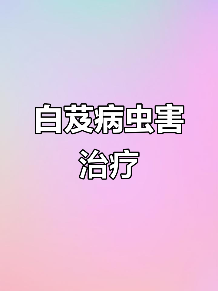 白芨病害防治全攻略:软腐病、根腐病、叶斑锈病的药剂选择