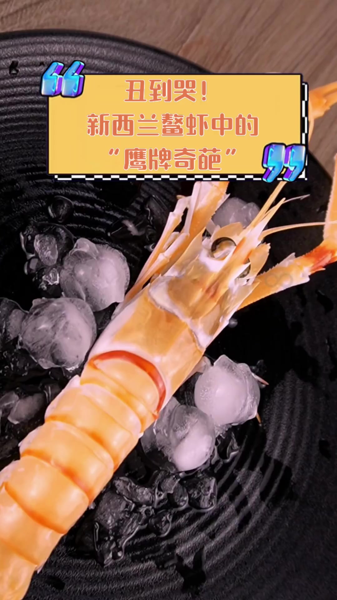 丑到哭!新西兰鳌虾中的“鹰牌奇葩”