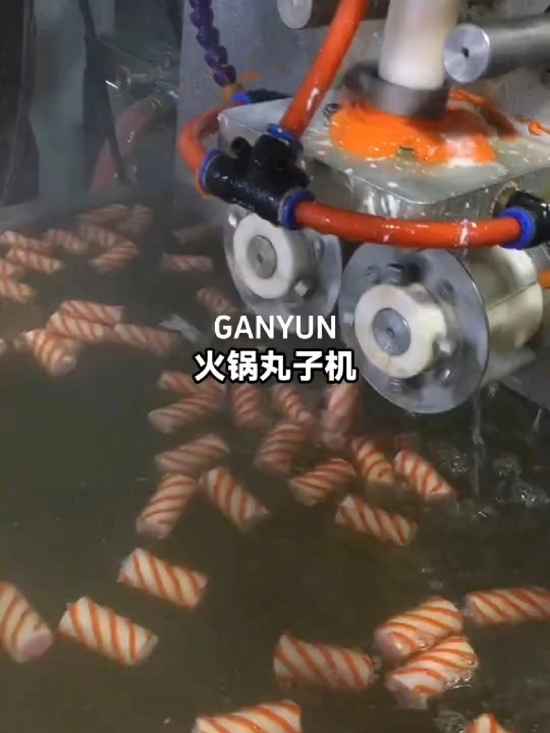 赣云全套加工火锅丸子彩虹卷鱼肉卷机器设备
