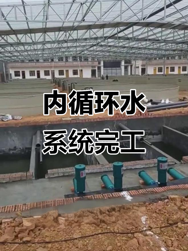 施工现场,36个鱼池安装完成,内循环水系统启动!