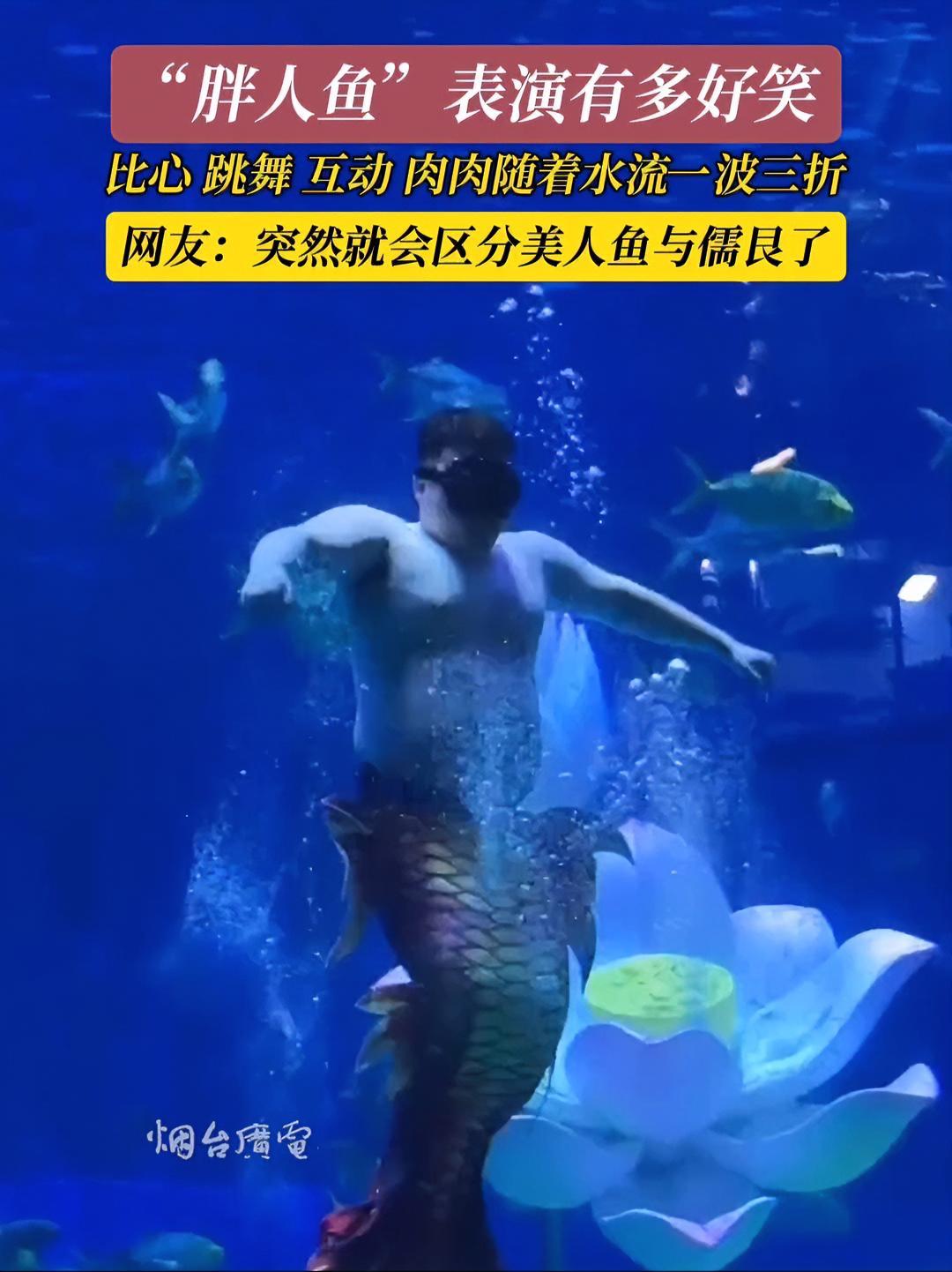 4月19日,山东济南。“胖人鱼”表演火出圈,让人直呼笑不活了!人鱼表演 原谅我不厚道的笑了