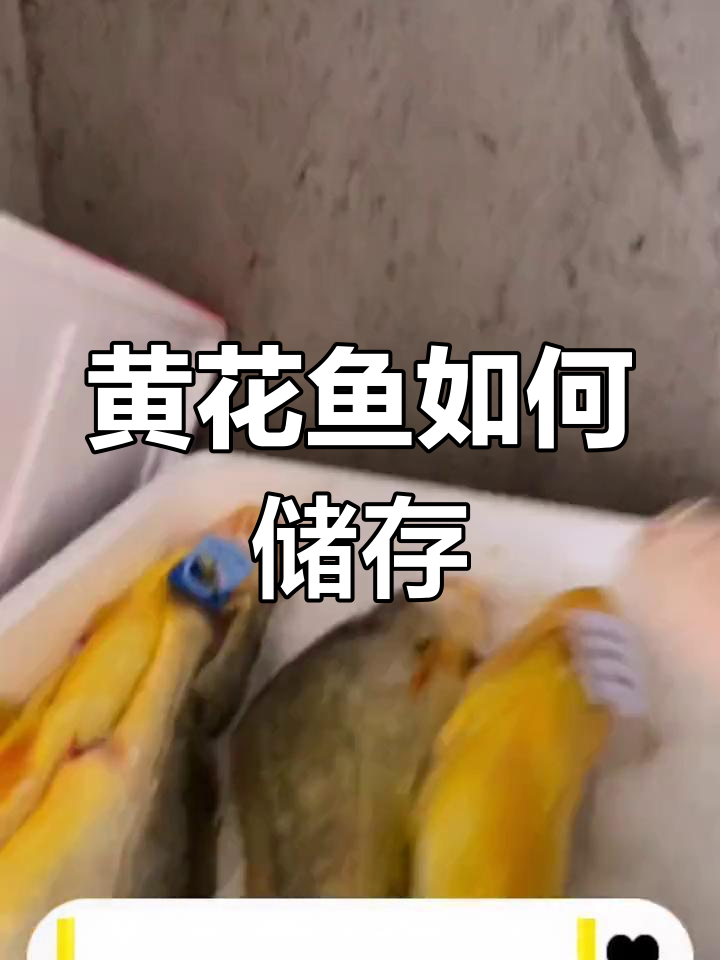 黄花鱼冷冻保存技巧,保持新鲜如初