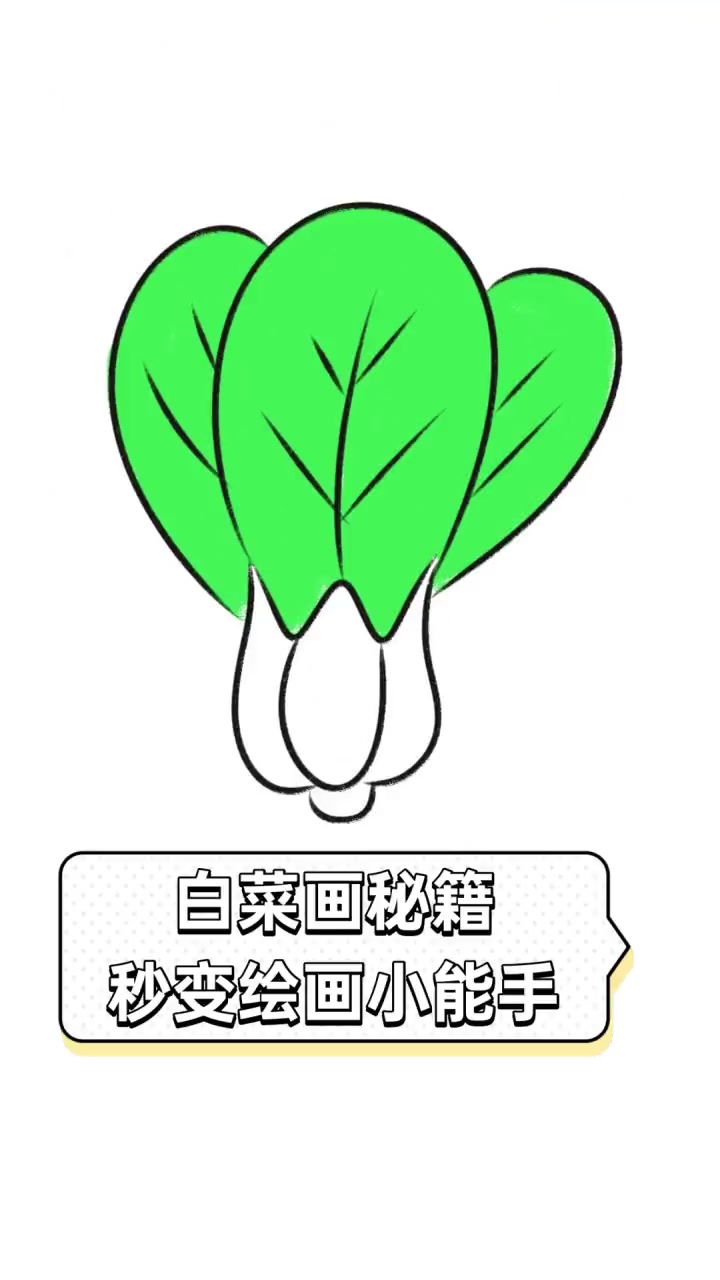 白菜画秘籍,秒变绘画小能手