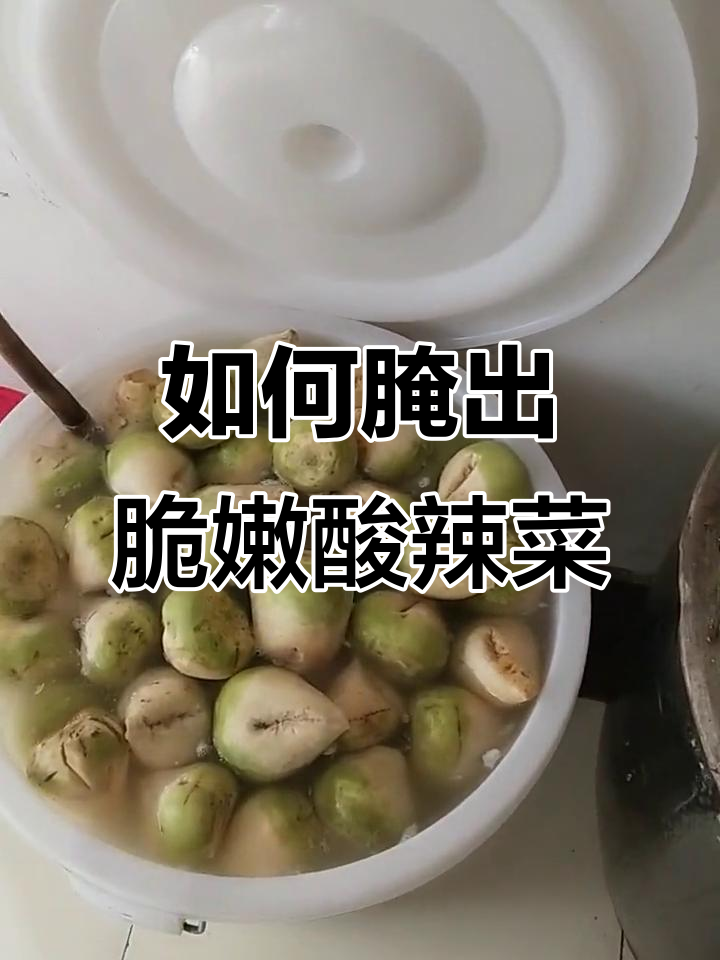酸菜辣菜的腌制技巧,轻松做出脆嫩口感
