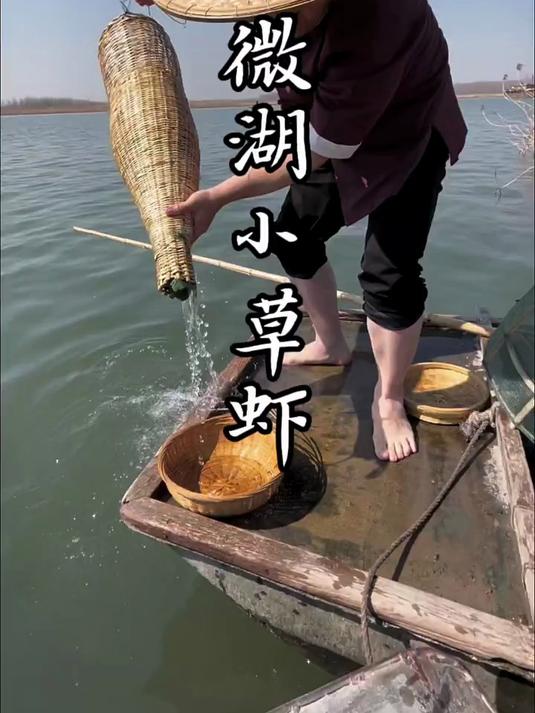 微山湖的小草虾,领导吃的那叫一个开心