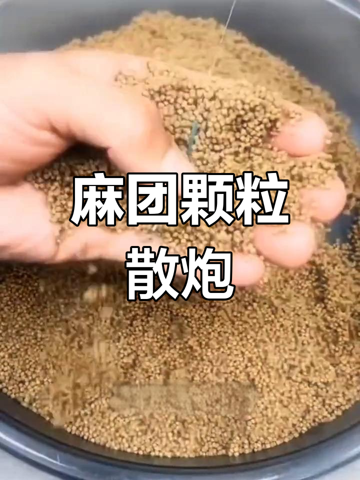 黑坑钓鱼新技巧:麻团颗粒散炮用法