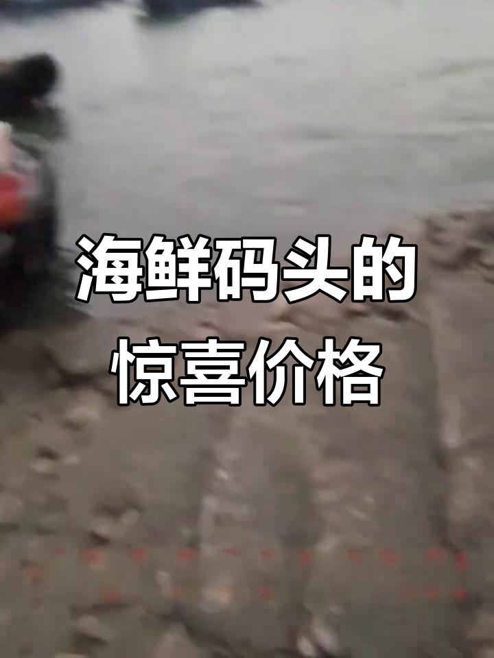 海鲜码头批发市场大揭秘，皮皮虾、老虎虾超值价格！